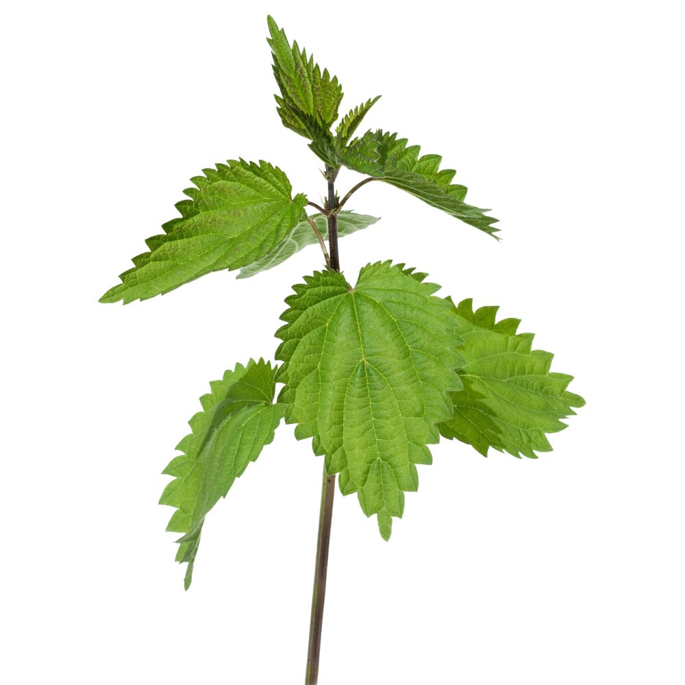 Valentínsky balíček-1538